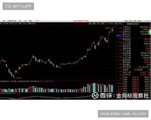 市场主体不再局限于传统赛事代理 而是向全周期生命价值运营延伸